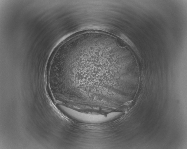 X0000079281028200612011653