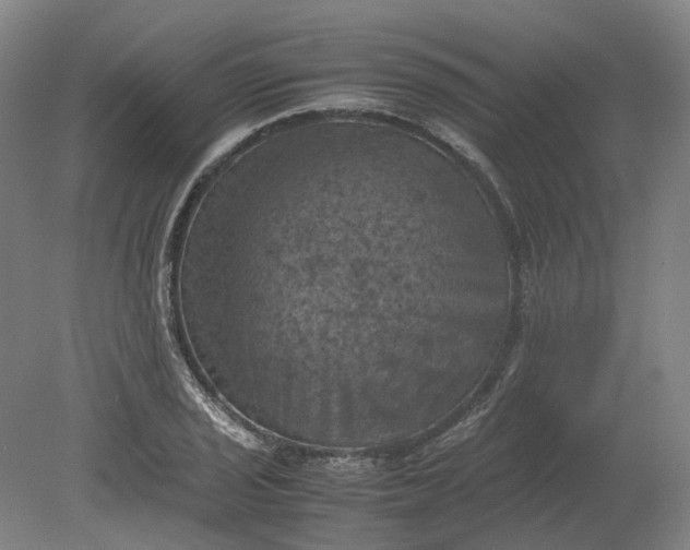 X0000079281029200612011653