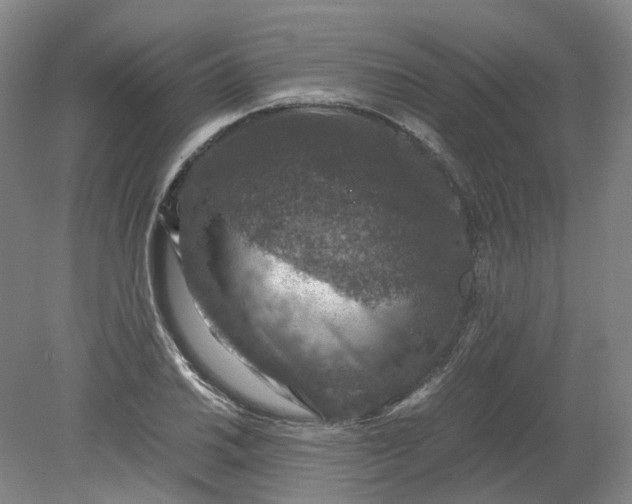 X0000079281030200612011653