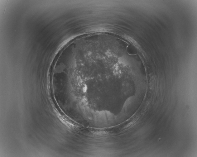 X0000079281031200612011653