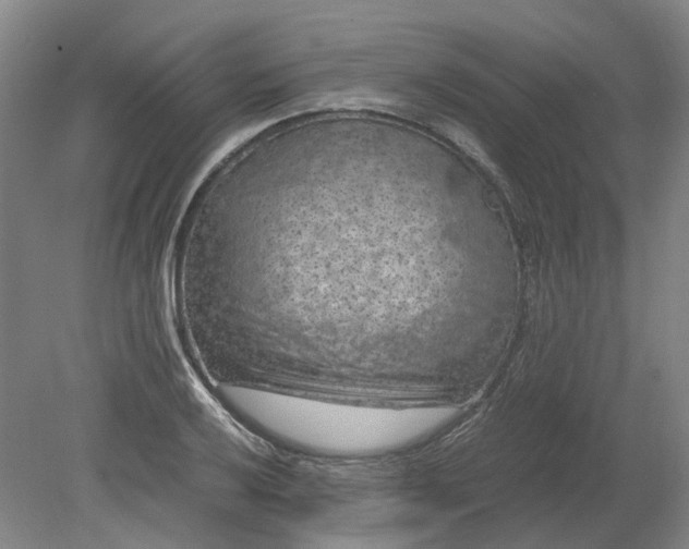 X0000079281032200612011653