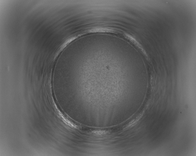 X0000079281033200612011653