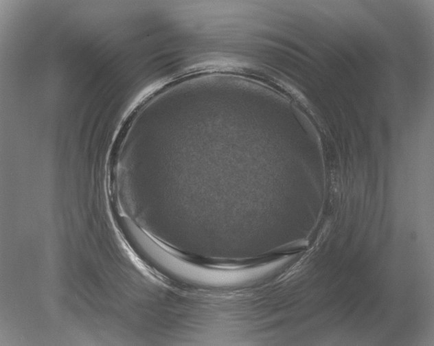 X0000079281034200612011653