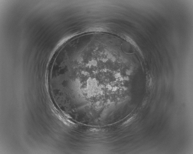 X0000079281035200612011653