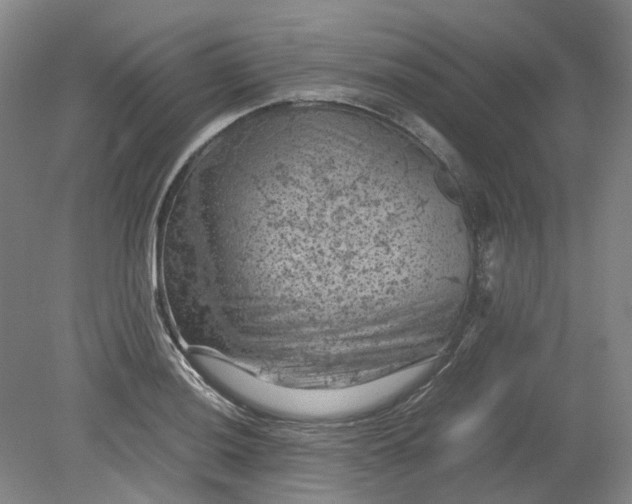 X0000079281036200612011653