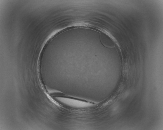 X0000079281037200612011653