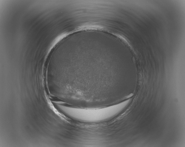 X0000079281038200612011653