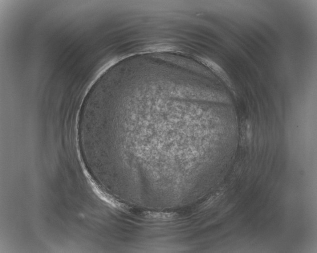 X0000079281039200612011653