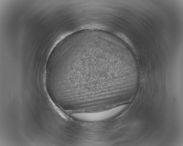 X0000079281040200612011653