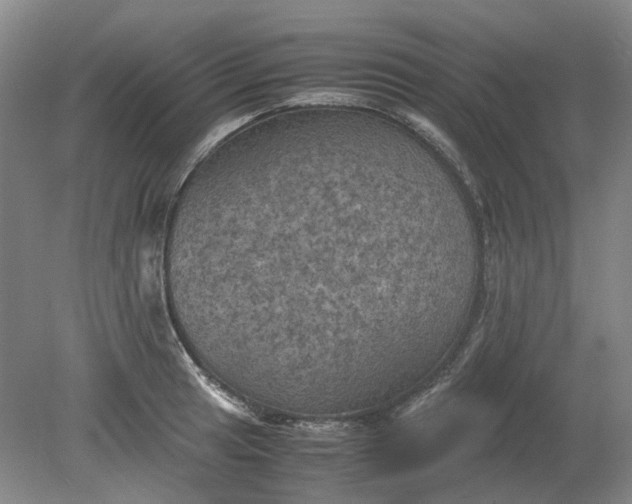 X0000079281041200612011653