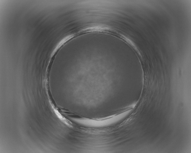 X0000079281042200612011653