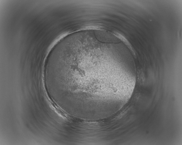 X0000079281043200612011653