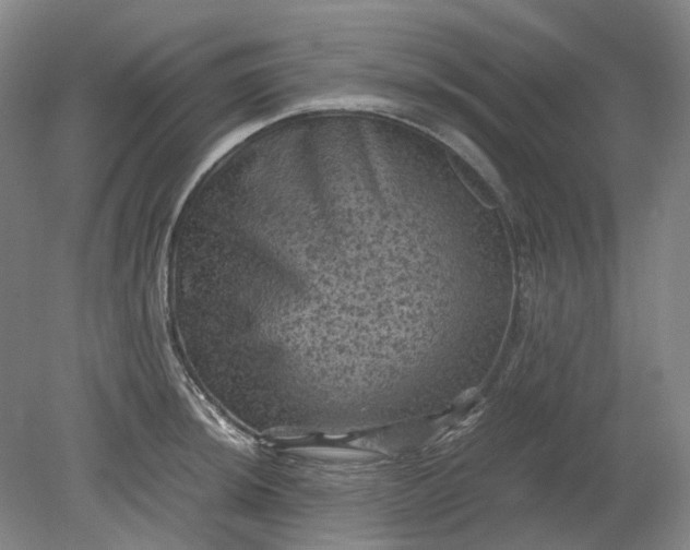 X0000079281044200612011653