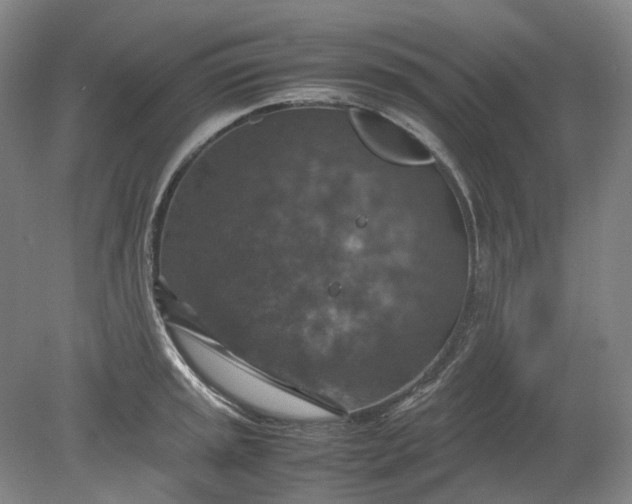 X0000079281045200612011653