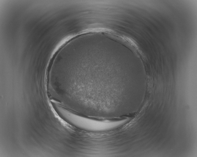 X0000079281046200612011653