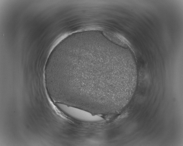 X0000079281047200612011653