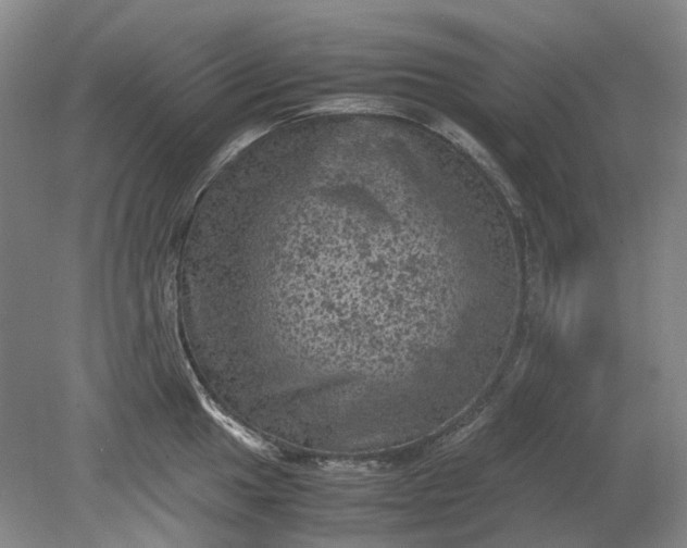 X0000079281049200612011653