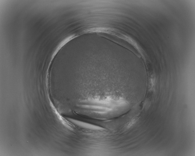 X0000079281050200612011653