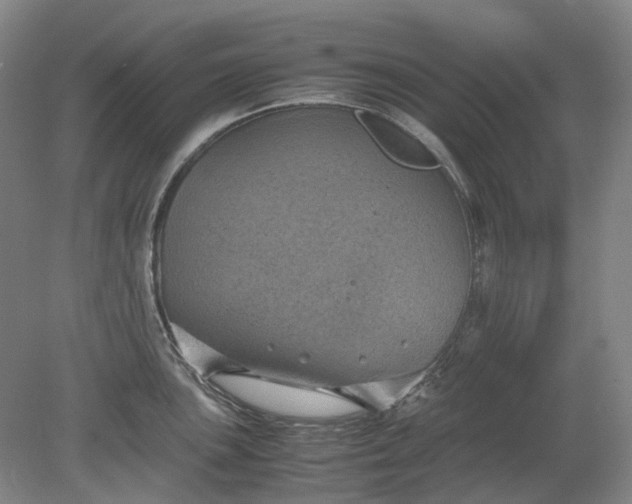 X0000079281051200612011653