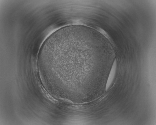 X0000079281052200612011653