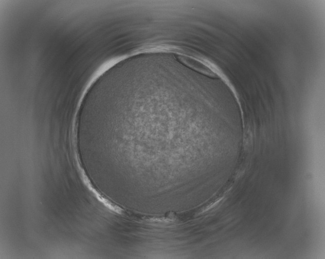 X0000079281053200612011653