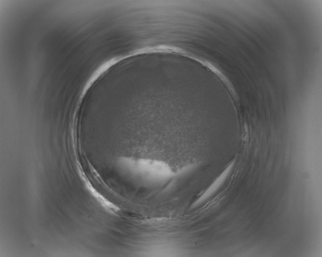 X0000079281054200612011653