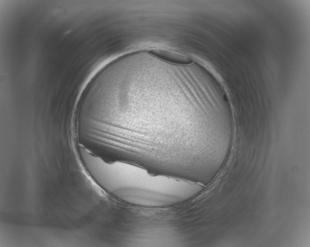 X0000079281056200612011653