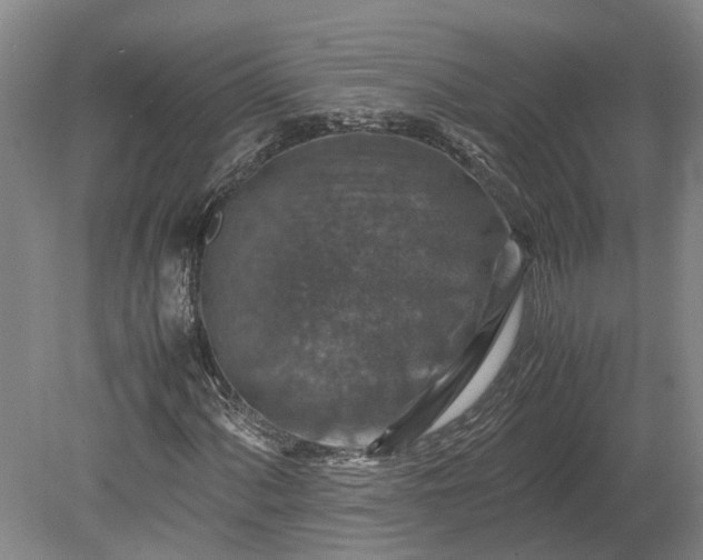 X0000079281060200612011652