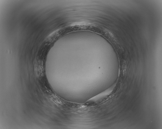 X0000079281062200612011652