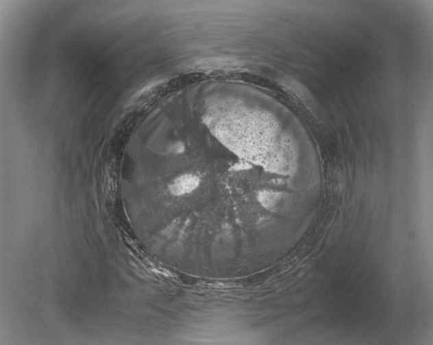 X0000079281063200612011652