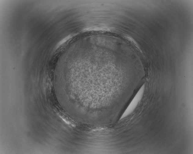 X0000079281064200612011652