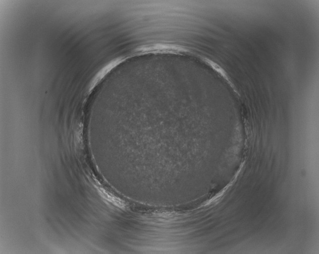 X0000079281066200612011652