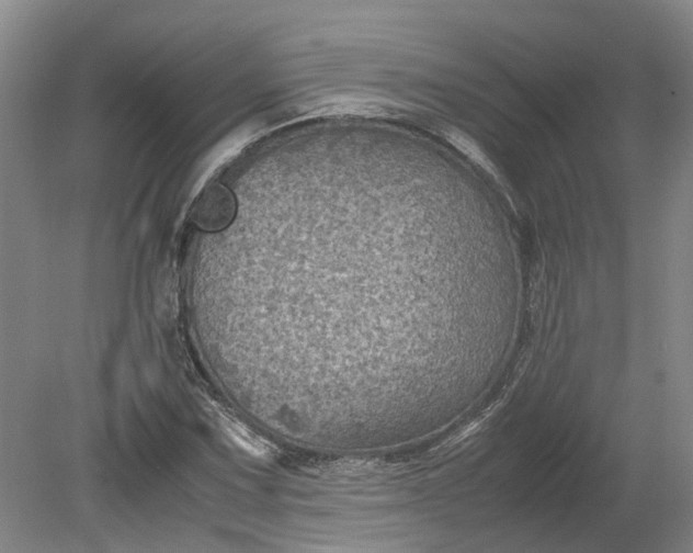 X0000079281067200612011652