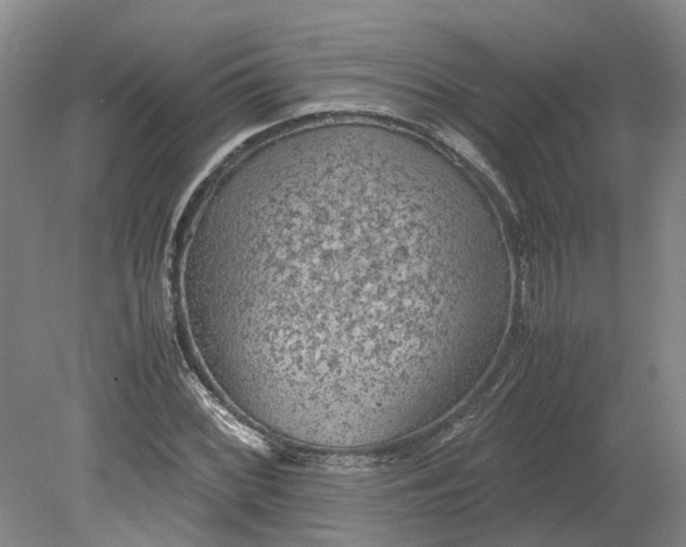 X0000079281068200612011652