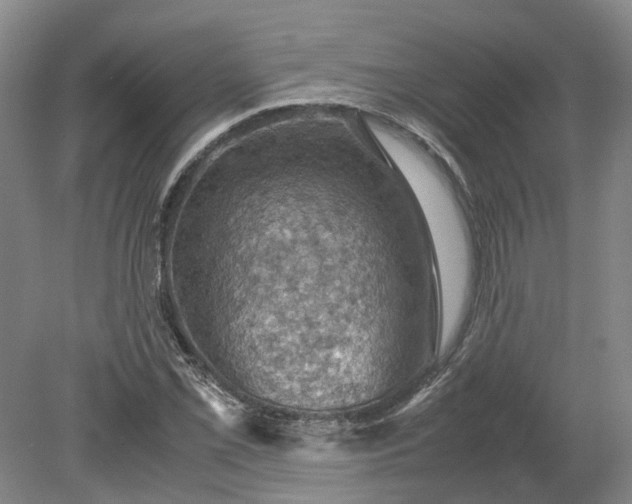 X0000079281069200612011652