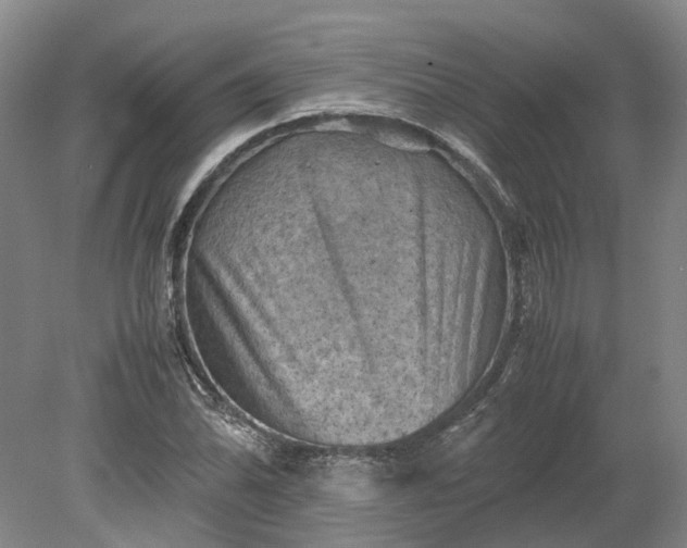 X0000079281070200612011652