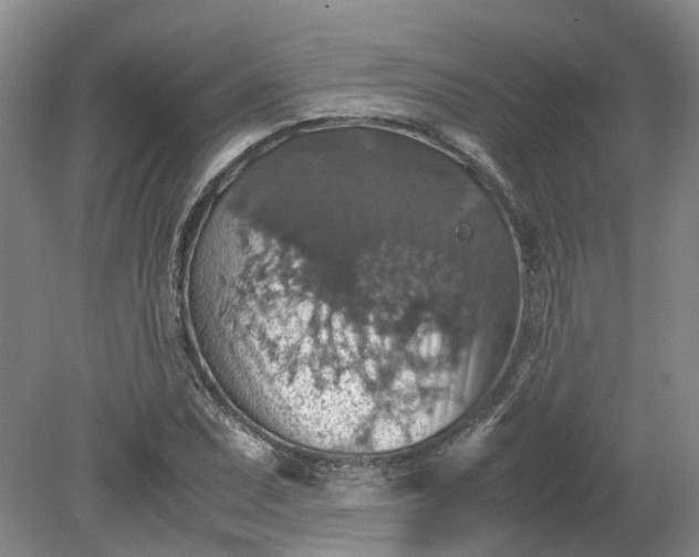 X0000079281071200612011652