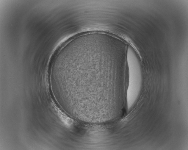 X0000079281072200612011652