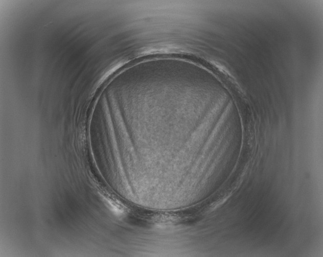 X0000079281073200612011652