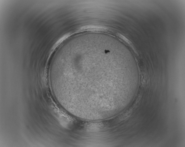 X0000079281074200612011652