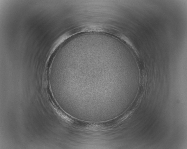 X0000079281075200612011652