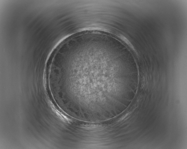 X0000079281076200612011652