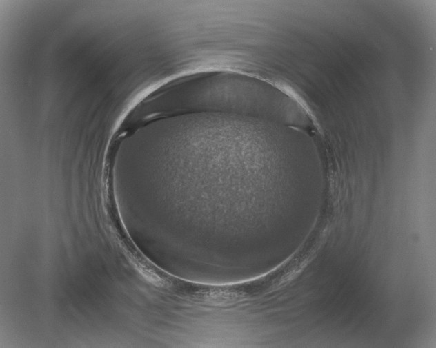 X0000079281077200612011652