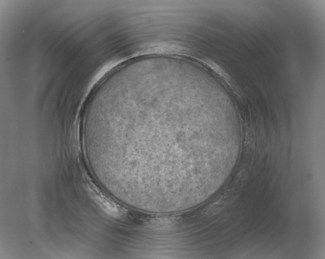 X0000079281078200612011652