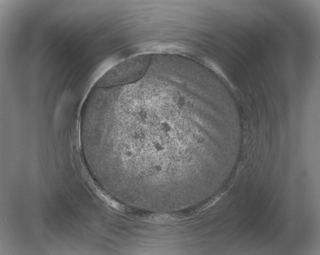 X0000079281079200612011652