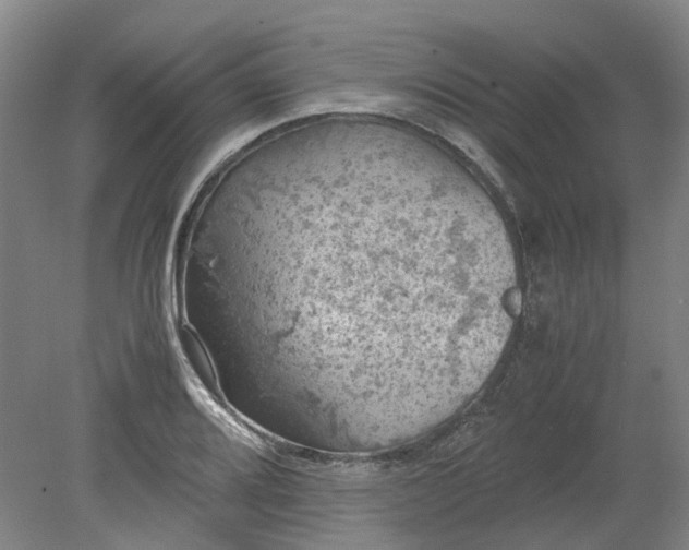 X0000079281080200612011652