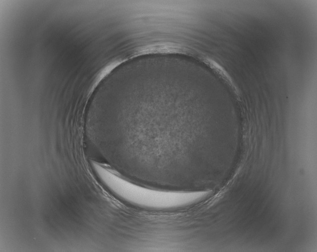 X0000079281081200612011652