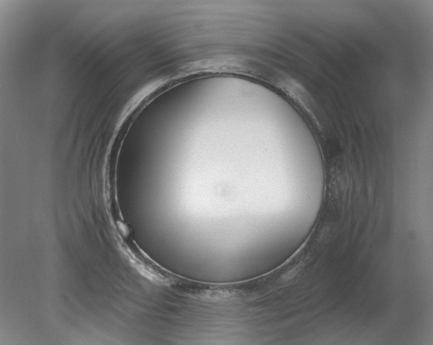 X0000079281082200612011652