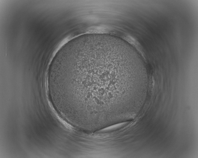 X0000079281083200612011652