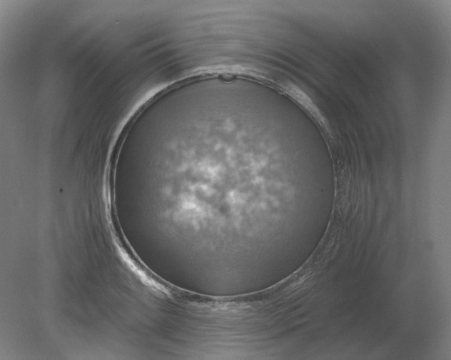 X0000079281084200612011652